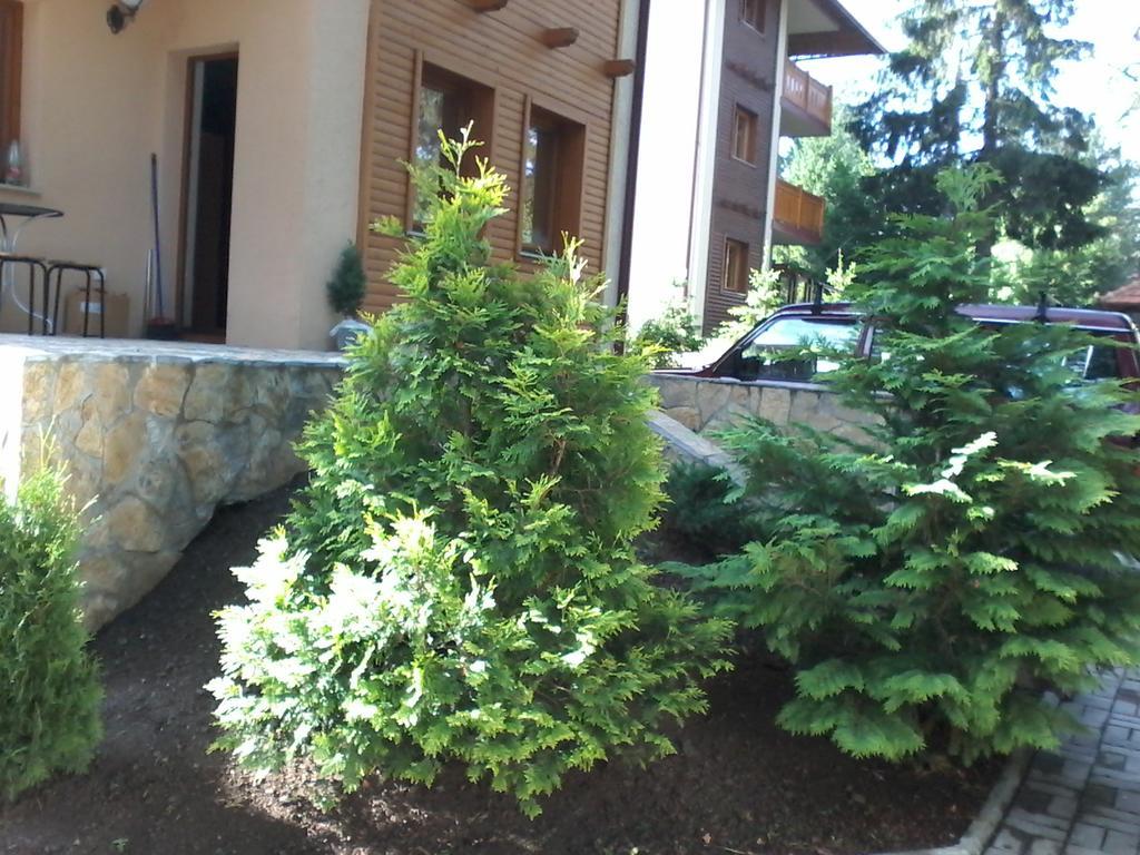 Apartment Joksimovic Златибор Екстер'єр фото